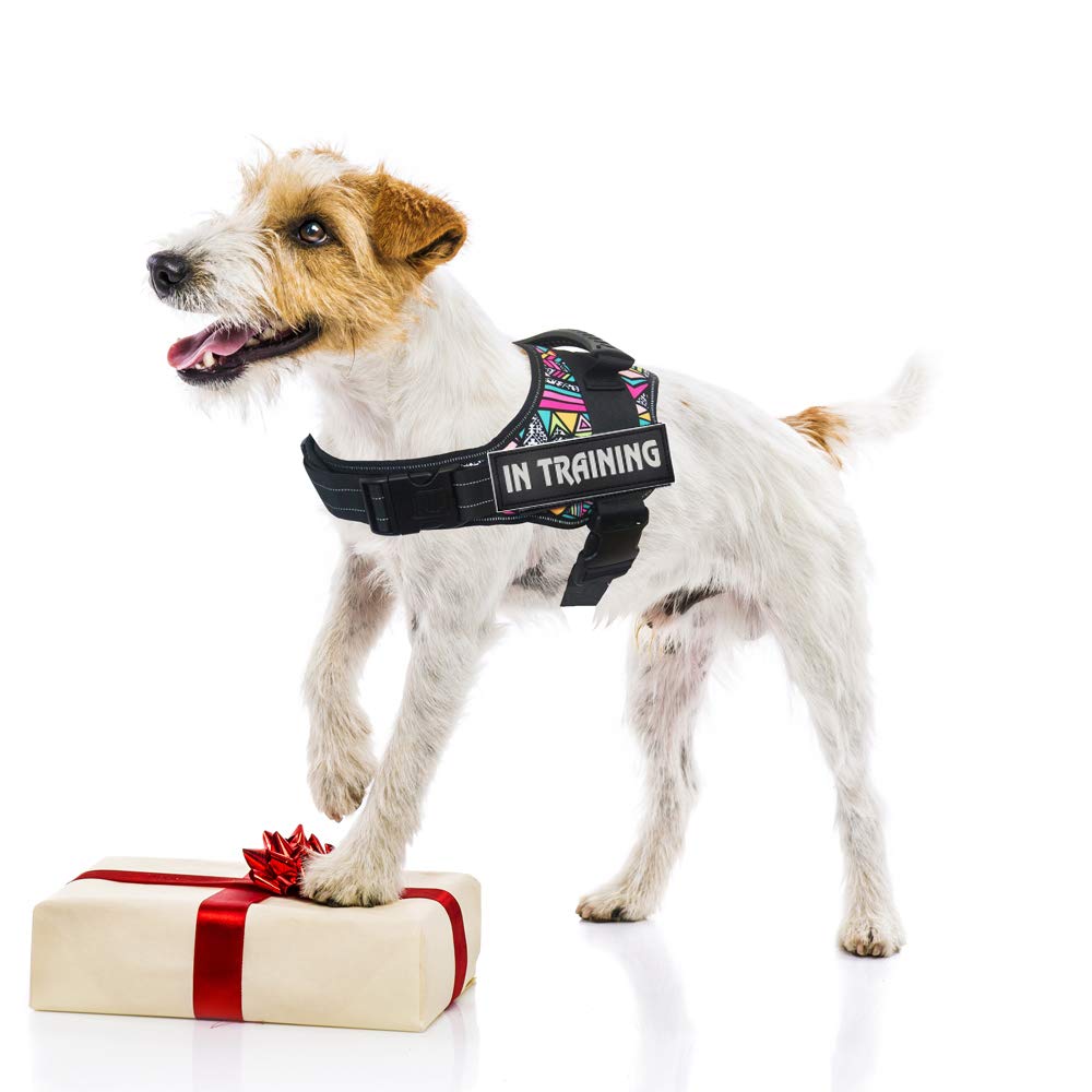 Creator 2 Pack Dog Patches With Hook Backing 2 X 6 Inch -Service Dog, Service Dog In Training, In Training For Harnesses, Collars, Leashes