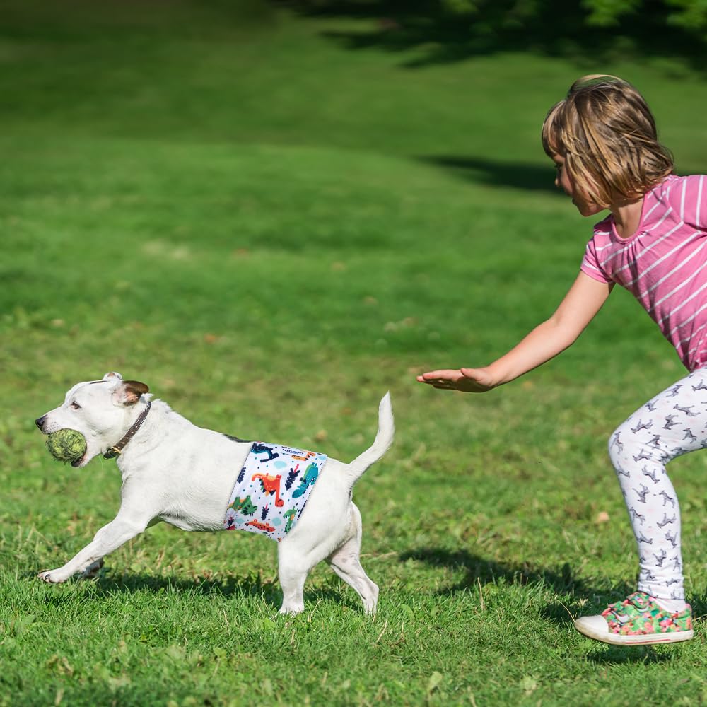 Micooyo Belly Bands For Male Dogs, 3 Pack Reusable Dog Diapers Male For Puppy Doggie, Washable Male Dog Wraps Xsmall (M, Car)
