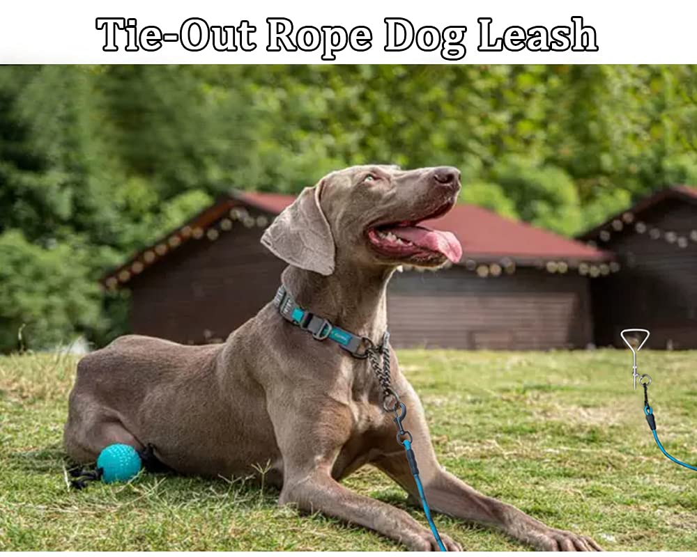 Maypaw 8Ft/10Ft Dog Tie Out/Check Cord, Heavy Duty Nylon Rope Training Leash, 3/8' Thick Dog Tether For Strong Small Medium Large Dogs Indoor Outdoor Walking/Camping (3/8' X 8Ft, Orange Black)