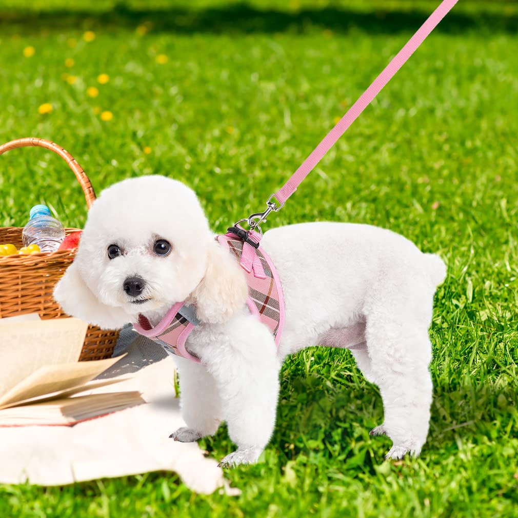 Expawlorer Dog Harness And Leash Set - Step In Dog Vest Harness No Pull With Bell Collar, Breathable Mesh Adjustable Puppy Small Dog Harness, Reflective Escape-Proof For Training Outdoor Walking