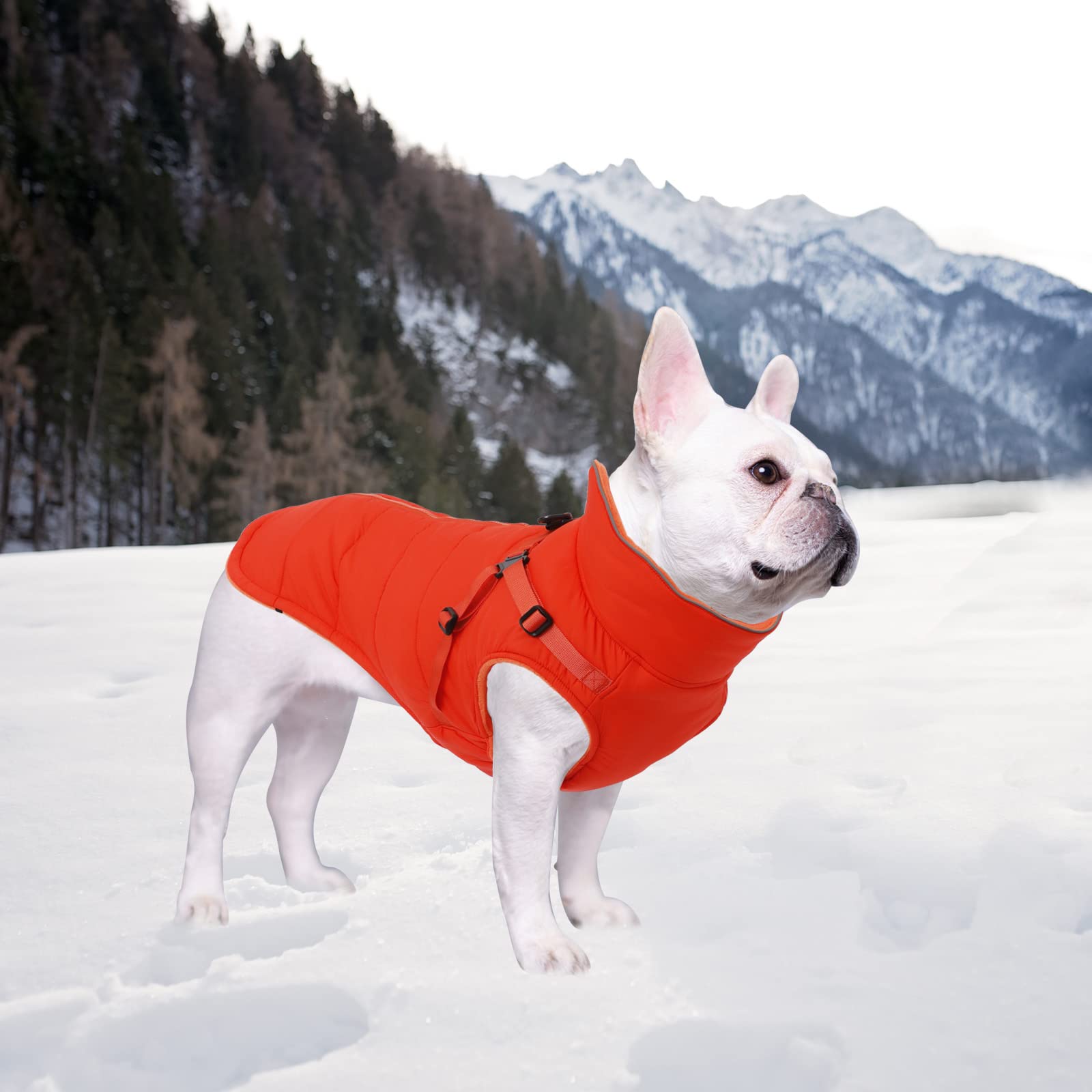 Geyecete Winter Warm Coat Waterproof Dog Winter Jacket With Harness Traction Belt,Windproof Pet Outdoor Jacket Dog Autumn-Orange