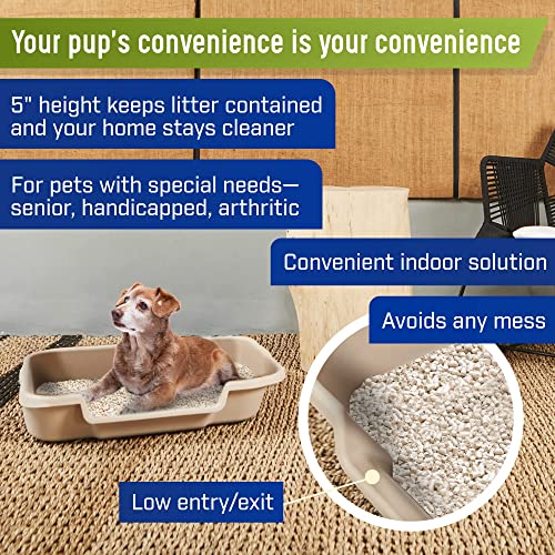 Puppygohere Dog Litter Box, Large Size, Misty Gray, Durable & Pet Safe, Indoor Open Top Entry Litter Pan, Comfortable For Puppy, Great For Dogs Up To 20 Lbs