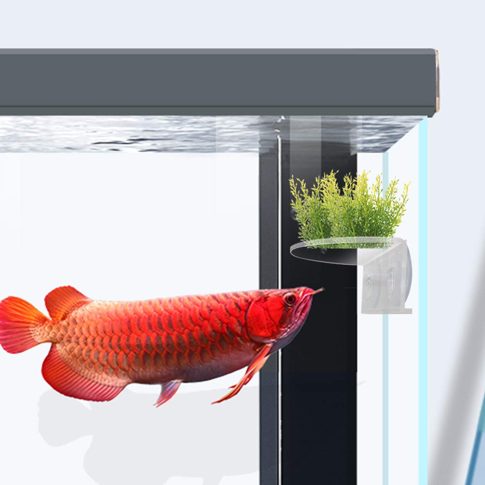 2Pack Aquarium Shelf,Transparent Acrylic Ledge Plants Holder for Substrate and Live Plants,with Strong Suction Cups for Fish Tan