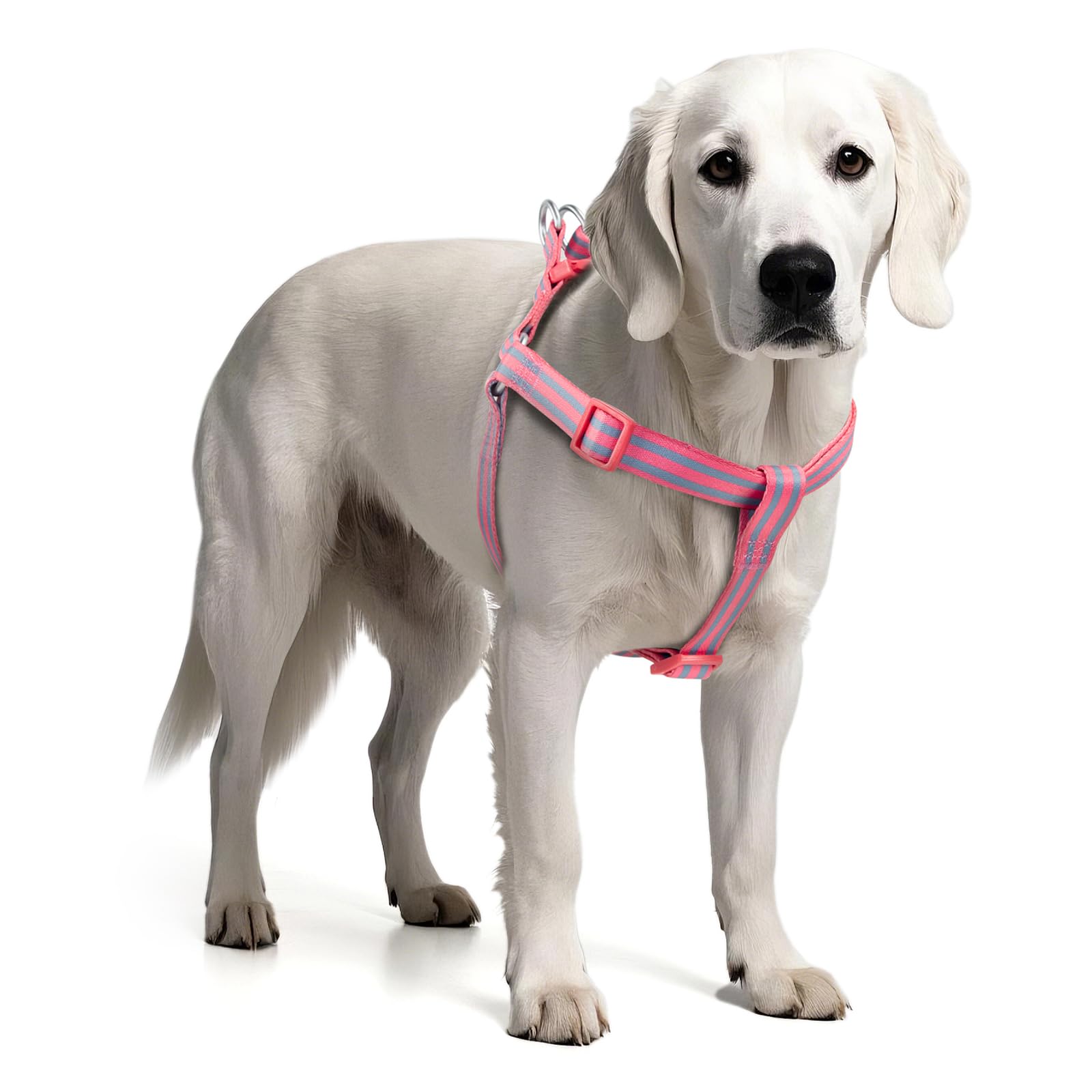 Tiffpaws Stripe Step In Dog Harness For Small Dogs, Freedom Nylon Dog Halter Vests, Lightweight And Escape Proof Dog Harnesses, 