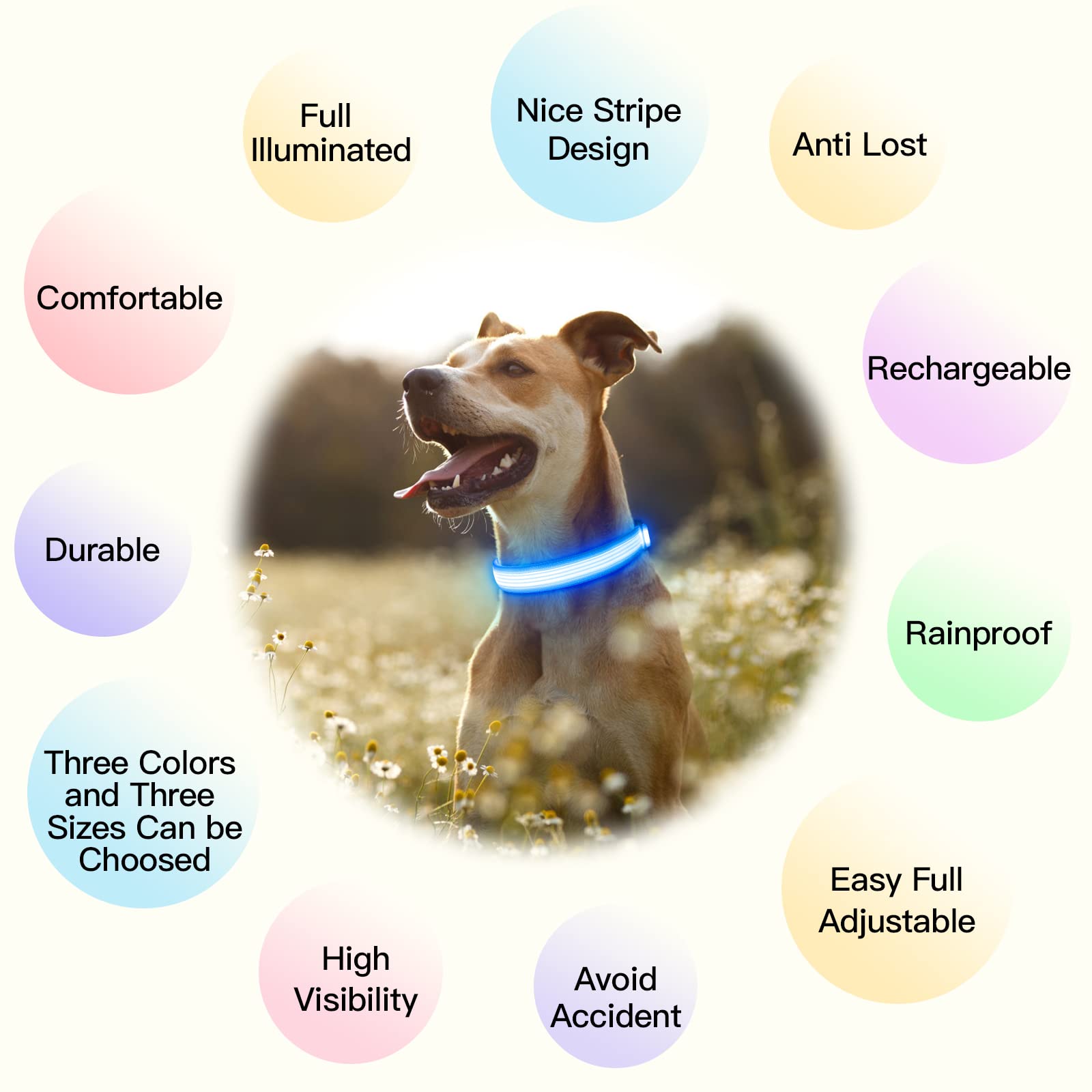 Yfbrite Light Up Dog Collar, Rechargeable Led Dog Collar, Flashing Dog Collar, Adjustable Reflective Dog Collar Safety Glowing A