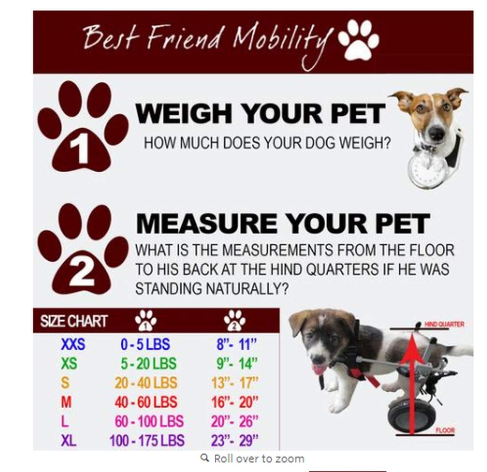 Best Friend Mobility XL Dog Wheelchair 23-29 BFMXL
