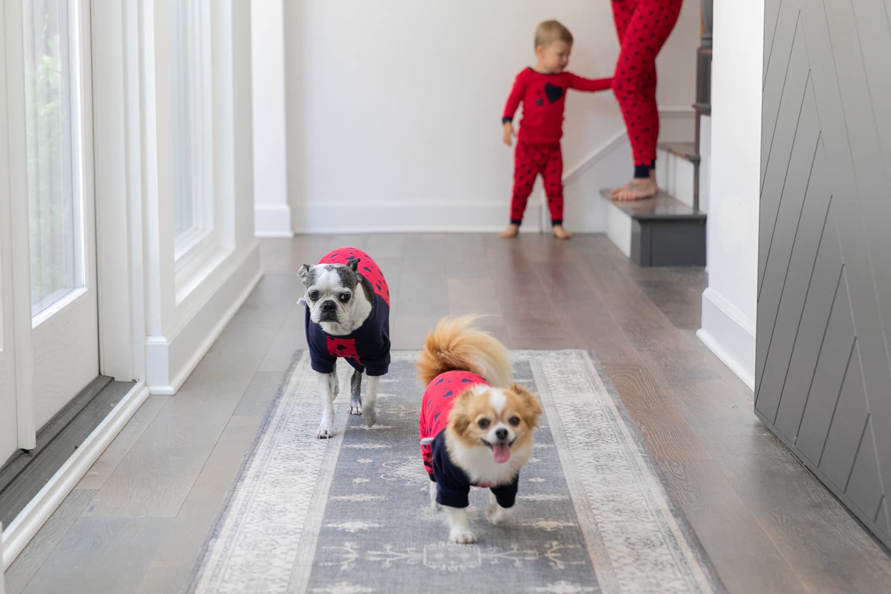 Leveret Dog Pajamas Matching Christmas Pjs for Dogs 100% Cotton (XXX-Large, NHearts)