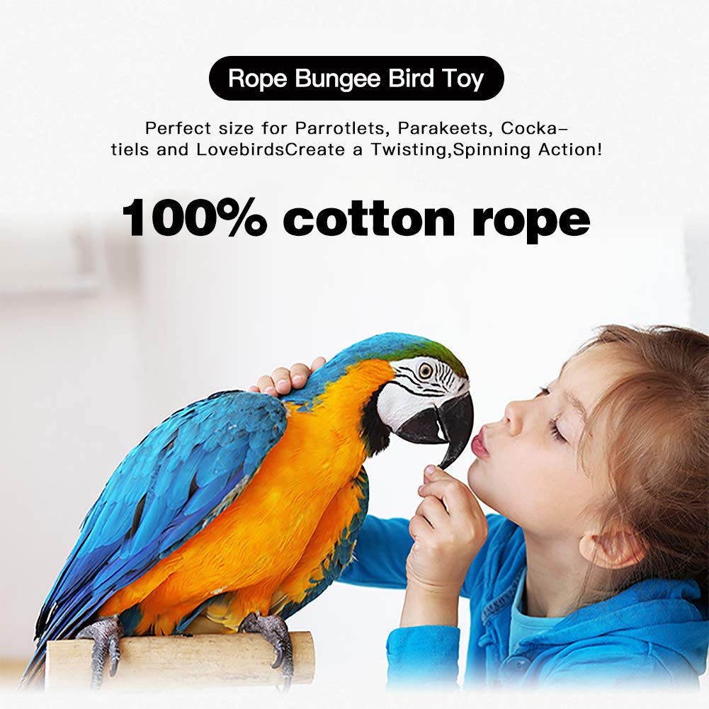 Pets Vv Bird Rope Perch Parakeet Toys, Spiral Cockatiel Toy, 63' Bird Bungee Rope Perches, Cage Accessories