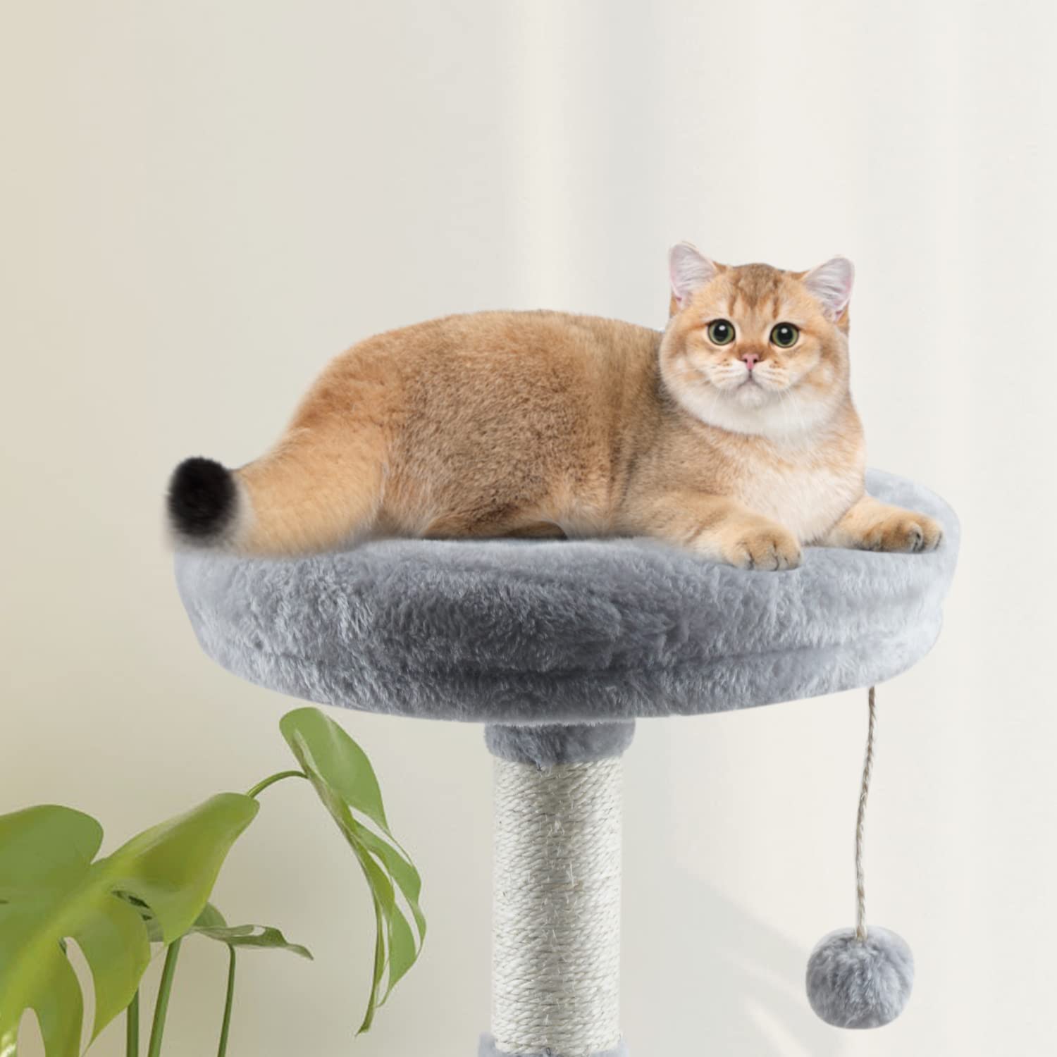 Miao Paw Grey Cat Tree Tower For Indoor Cats Cat Condo With Scratching Post Cat Tree For Large Medium Small Cat With Dangling Ba