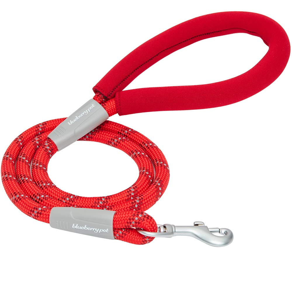 Blueberry Pet Durable Diagonal Striped Dog Rope Leash In Red With Comfy Neoprene Handle, 4 Ft, Strong Leashes For Dogs