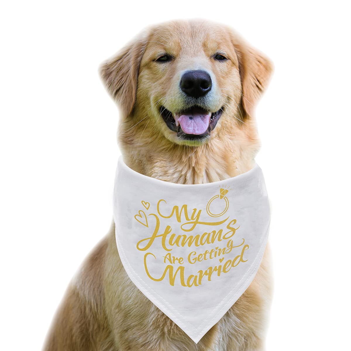 Engagement Gift, My Humans Are Getting Married Dog Bandana, Wedding Photo Prop, Pet Scarf, Dog Engagement Announcement, Pet Acce