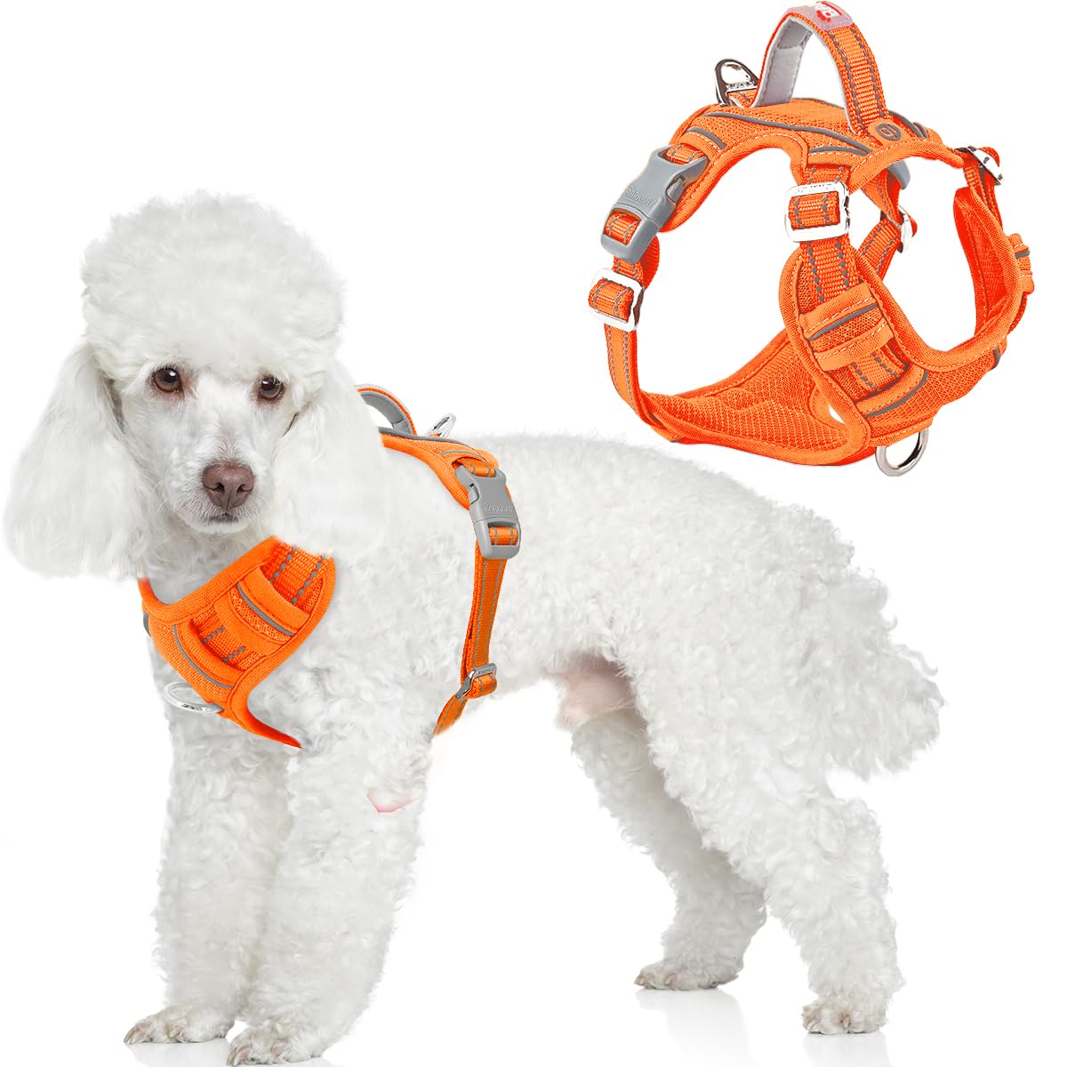 BARKBAY Dog Harness No Pull with ID Tag Pocket - Heavy Duty, Reflective, Easy Control for Large Dogs(Orange,XS)