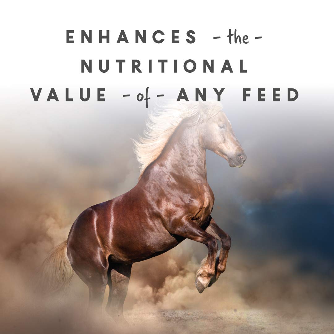 Manna Pro Sho-Glo Supplement for Horses - Complete Vitamin & Mineral Supplement for Healthy Skin & Coat - 25 Pounds