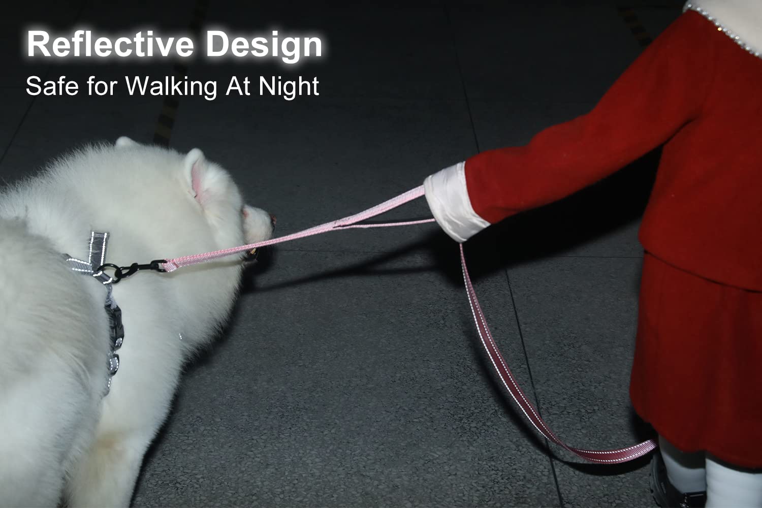 Eco-Clean Dog Leash For Large Dogs, Traffic Padded 2 Handles For Extra Control, 6 Ft Long With Reflective Stitch For Night Walki