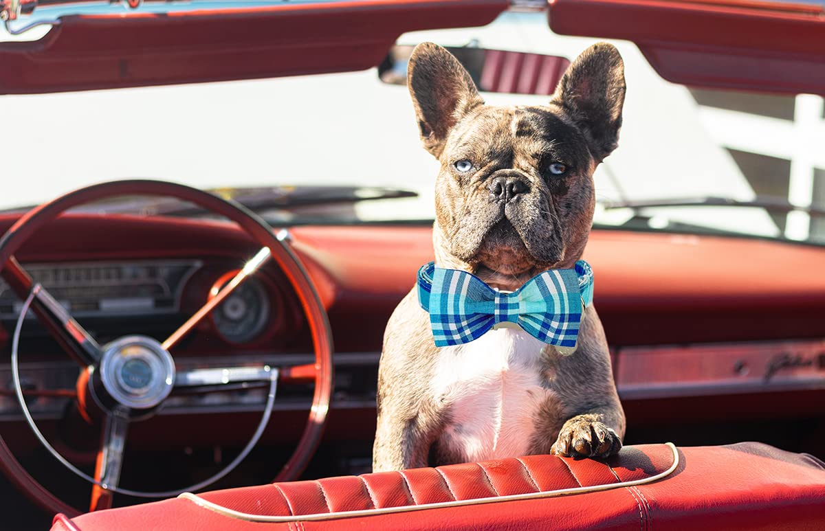 Dogwong Dog Collar With Bowtie, Blue Plaid Dog Collar Comfortable Durable Checked Dog Collar For Small Medium Large Dog