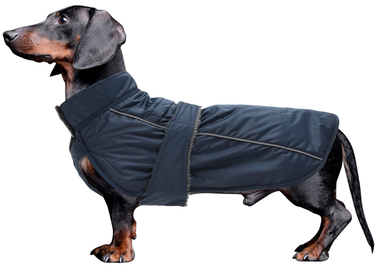 Dachshund Coat Waterproof, Perfect For Dachshund Sausage, Puppy Winter Jacket With Padded Fleece Lining, Outdoor Dog Clothing With Adjustable Bands And Underbelly Protection - Navy - S