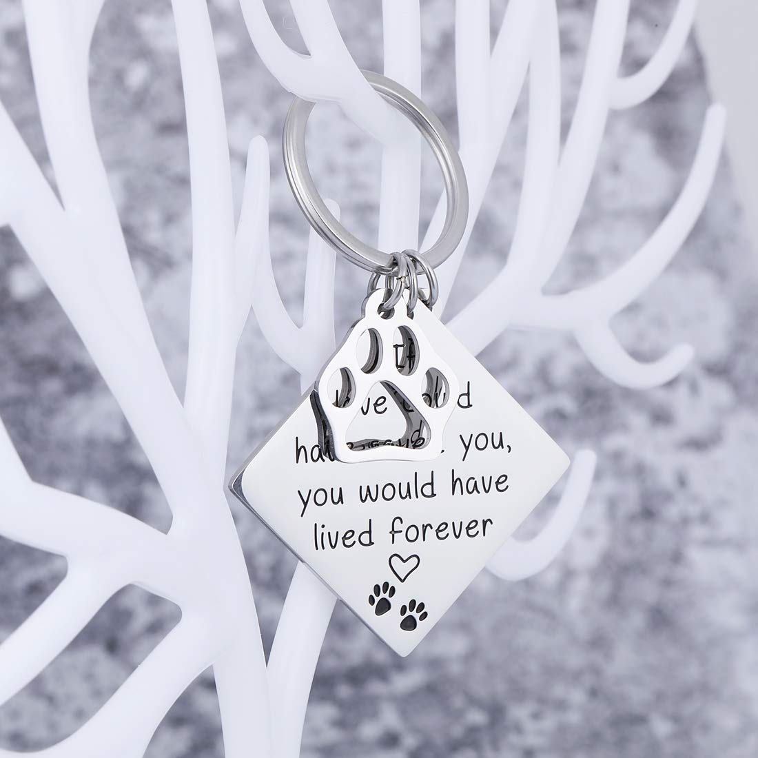 Pet Memorial Gift Keychain for Loss of Pet Dogs Cats Sympathy Gift for Friend Family Boss Remembrance Keyring Jewelry for Women