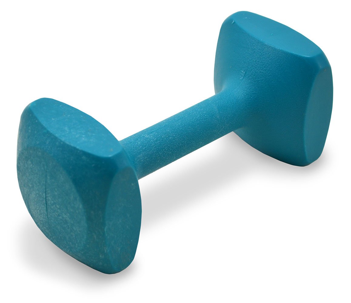 J&J Dog Supplies Obedience Retrieving Dumbbell With 2 1/2' Ends, 2 1/2' Wide Bit And 11/16' Diameter Bit, Teal, Small