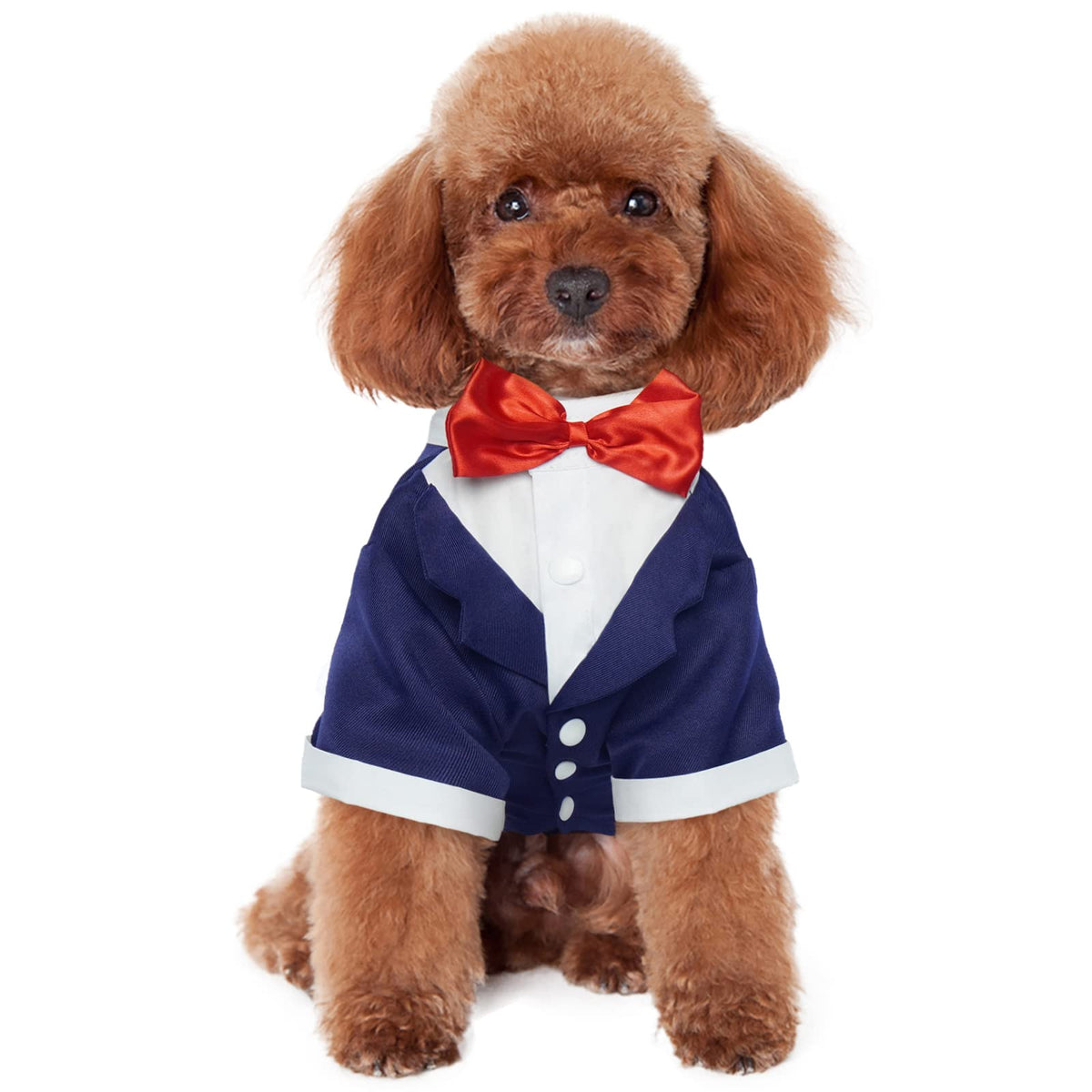 Kuoser Dog Shirt Puppy Pet Small Dog Clothes, Stylish Suit Bow Tie Costume, Wedding Shirt Formal Tuxedo With Black Tie, Dog Prin