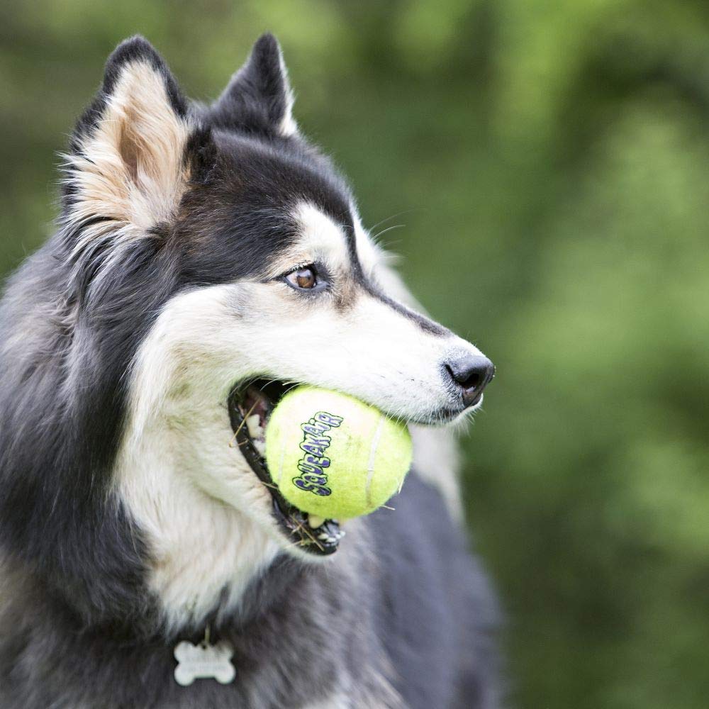 KONG - Squeakair Balls - Dog Toy Premium Squeak Tennis Balls, Gentle on Teeth - for Medium Dogs (3 Pack)