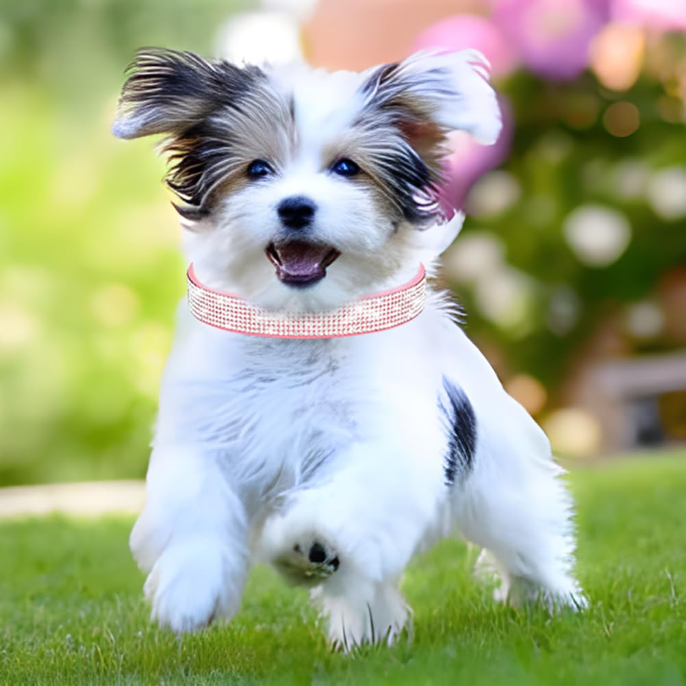 Girl Dog Collars For Medium Dogs,Black Rhinestone Dog Collars Bling Diamond Cute Sparkly Jewelry Cat Collar For Xs Small Medium