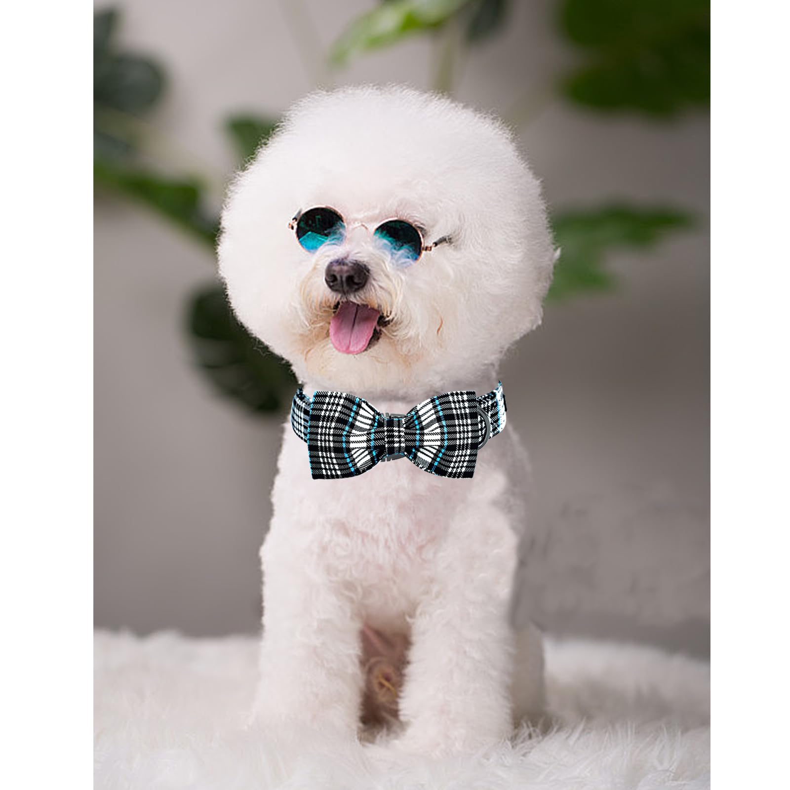 Lionheart Glory Dog Bow Collar Blue And Black Plaid Dog Collar For X-Large Dogs,Boy Dog Collars With Bowtie Spring Summer Collar