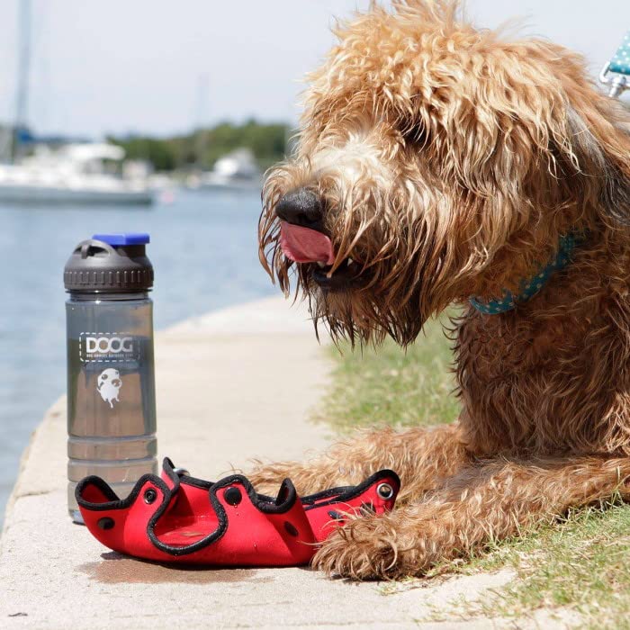 Doog - Dog Owners Outdoor Gear 3-In-1 Water Bottle Plus Drink Insulator Plus Dog Water Bowl - 3 * 3 * 8.5