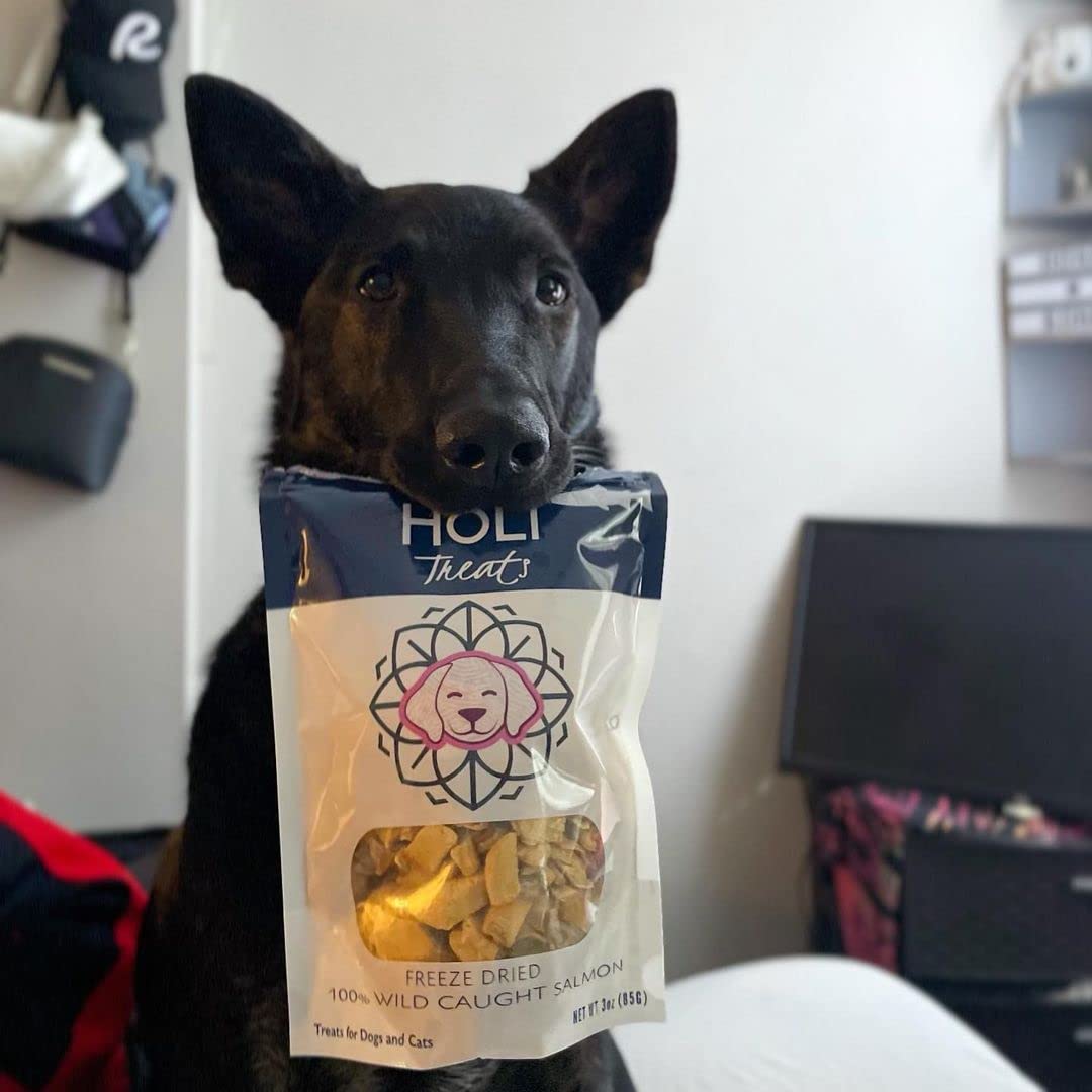 HOLI Freeze Dried Salmon Dog Treats - with Omega 3 and 6 Fish Oil - All Natural Dog Treats - Human Grade - Wild Caught Salmon -