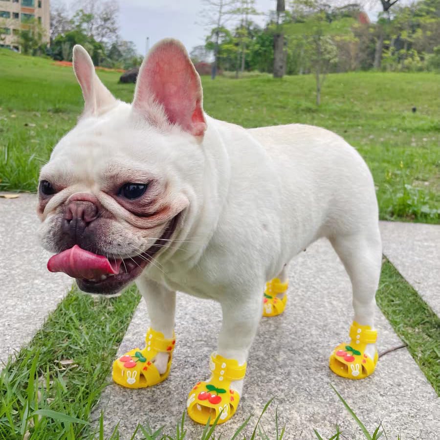 Cute Summer Dog Shoes Sweet Cherry Puppy Sandals Pet Jelly Shoes Flats, Dog Booties Paw Protector For Summer Hot Pavement (Candy