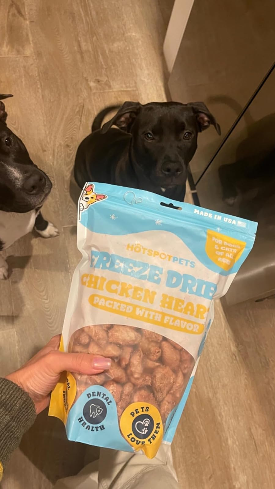 hotspot pets Freeze Dried Chicken Hearts for Cats & Dogs - 1LB Big Bag- Made in USA -Single Ingredient All Natural Grain-Free -R