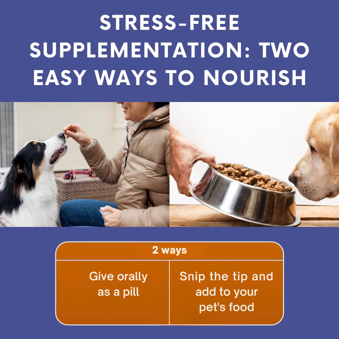 Omega 3 Fish Oil for Dogs & Cats | Dog Prenatal Vitamins | Joint Support | Brain & Heart Health | Pure EPA DHA Omega 3 for Dogs