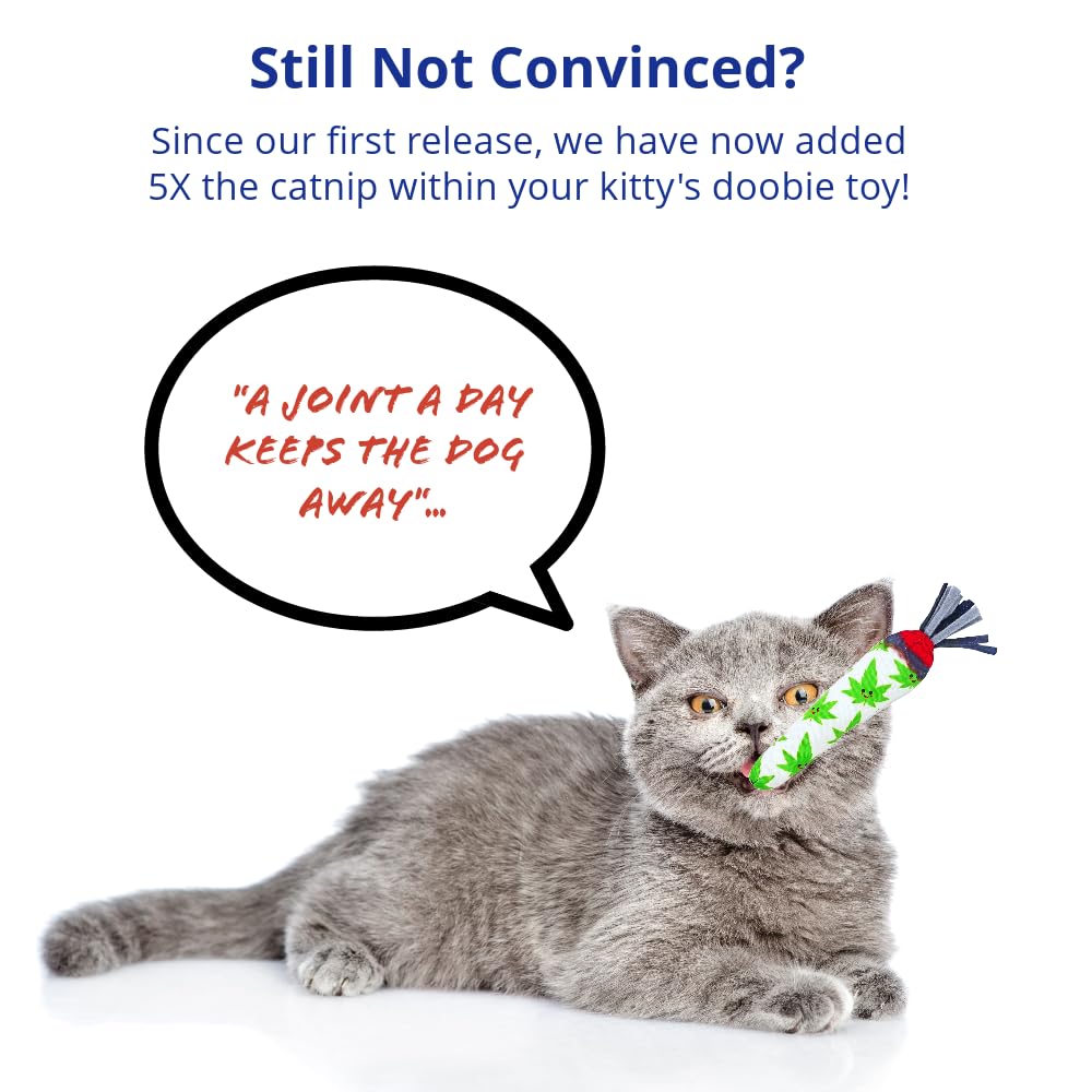 TOYGENICS - Catnip Toys for Indoor Cats, Cat Toy for Cat Enrichment, Durable Catnip Cat Wand Toy W/String Ends, Cat Toys for Ind