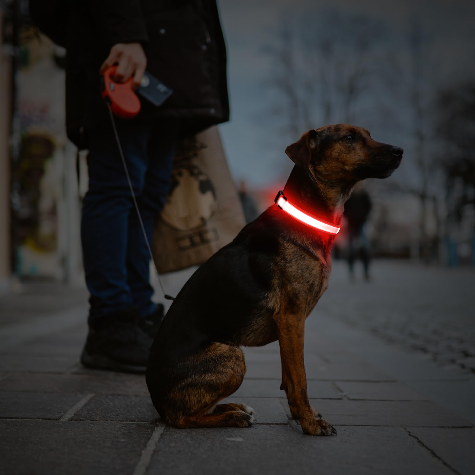 Illumifun Led Dog Collar, Usb Rechargeable Light Up Dog Collars, Flashing Dog Collar Light For Your Dogs Walking At Night (Red,