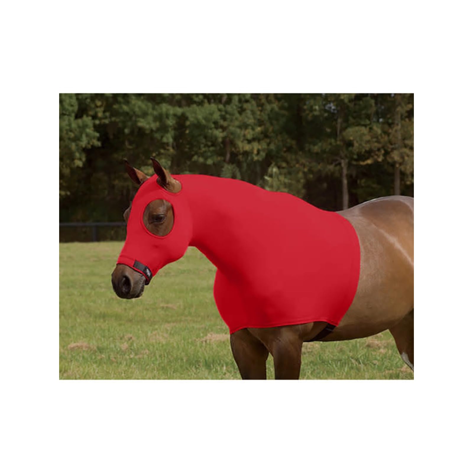 Sleazy Lycra Hood Medium Red