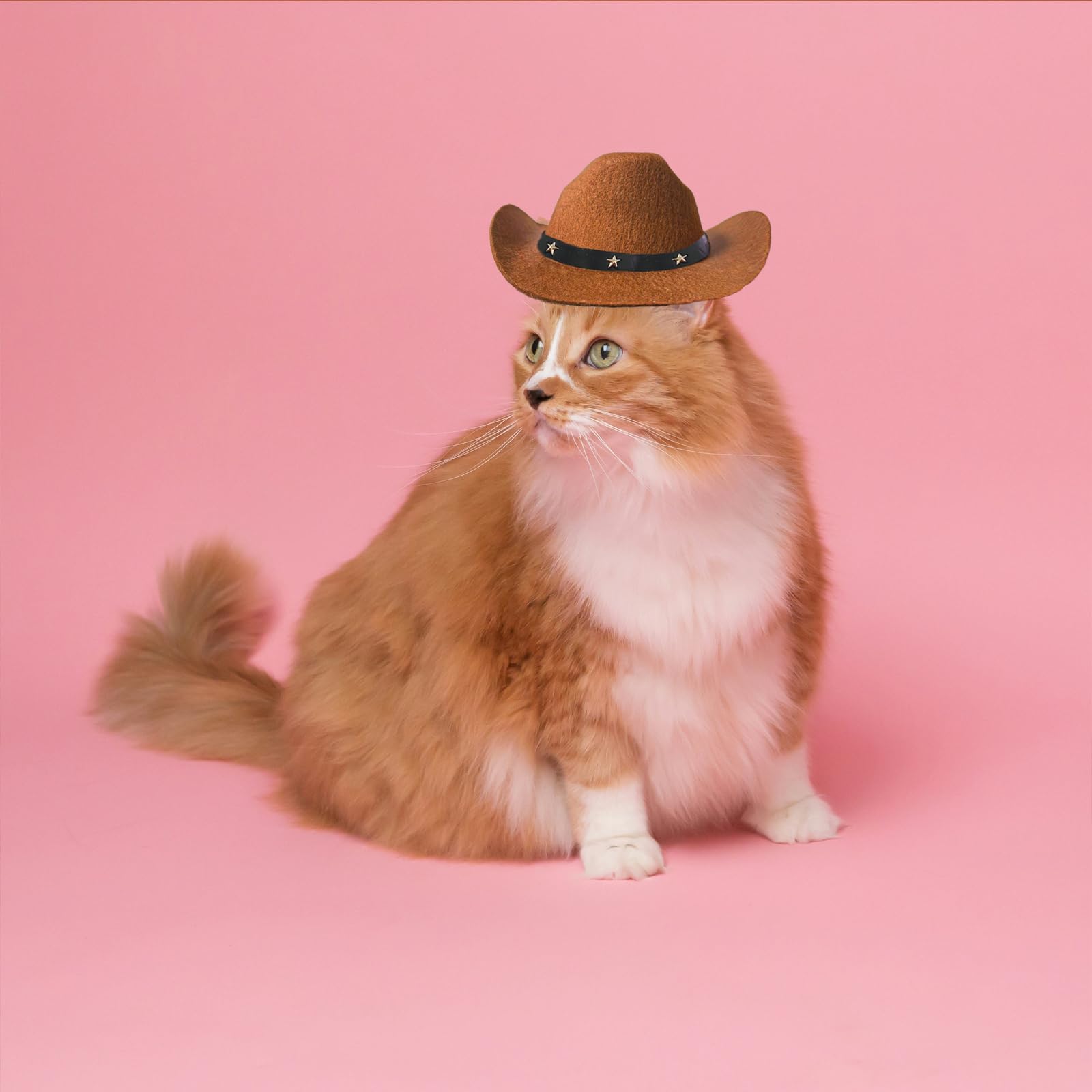 Awocan Dog Cowboy Hat And Bandana Scarf Dog Cat Sombrero Puppy Hat Dog Cat Costume Cosplay Cap Puppy Pet Dog Cat Holiday Pet Party Decoration (Coffee)