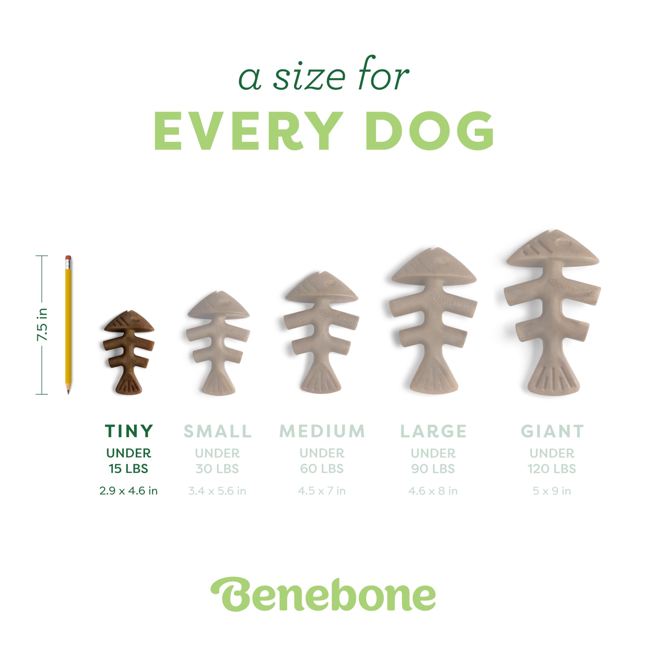 Benebone Tiny 2-Pack Fishbone Durable Dog Chew Toys, Real Fish Flavor, Made In Usa