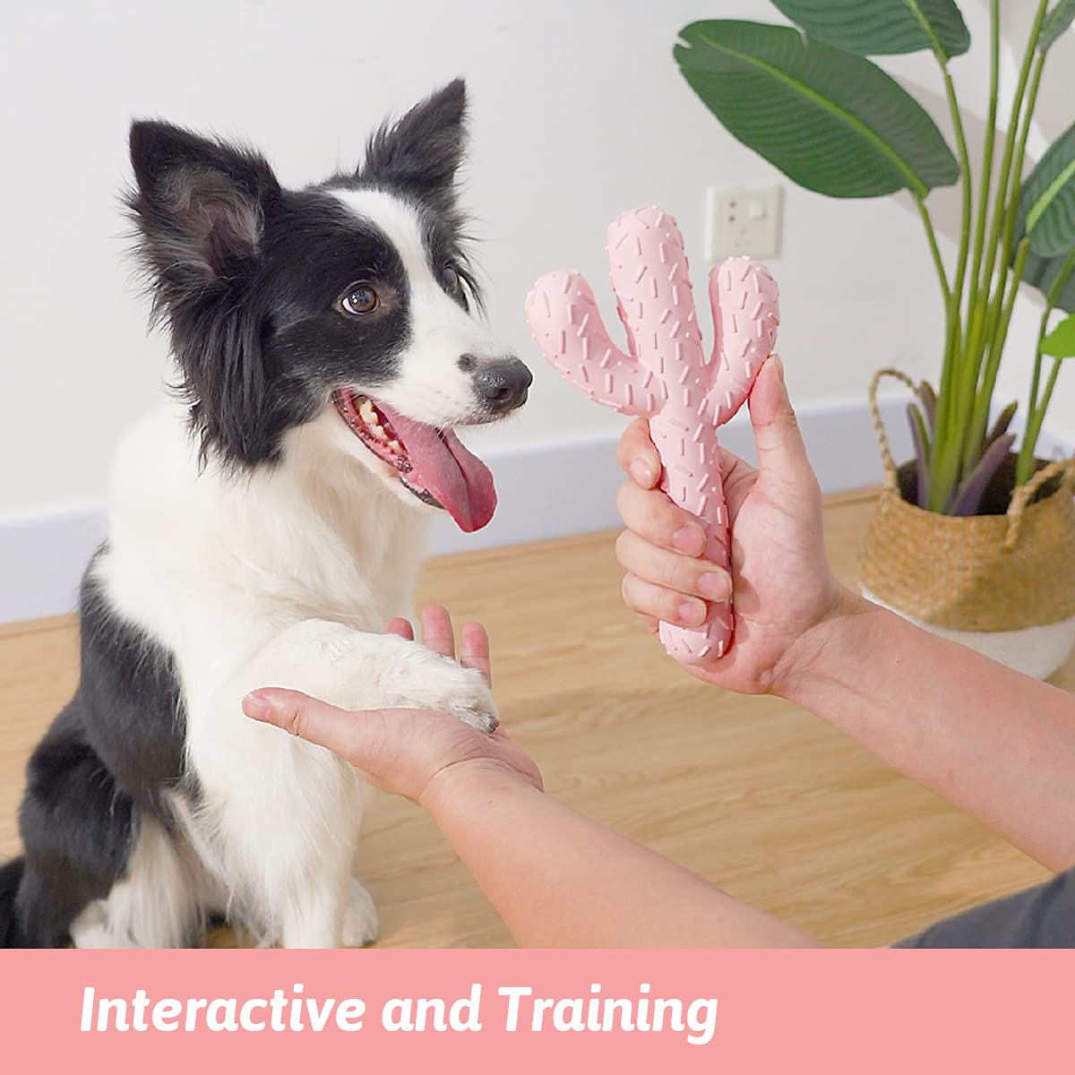 Mewajump Dog Chew Toys, Tough Rubber Dog Toys For Aggressive Chewers, Cactus Dog Toy For Training And Cleaning Teeth, Pink Cute