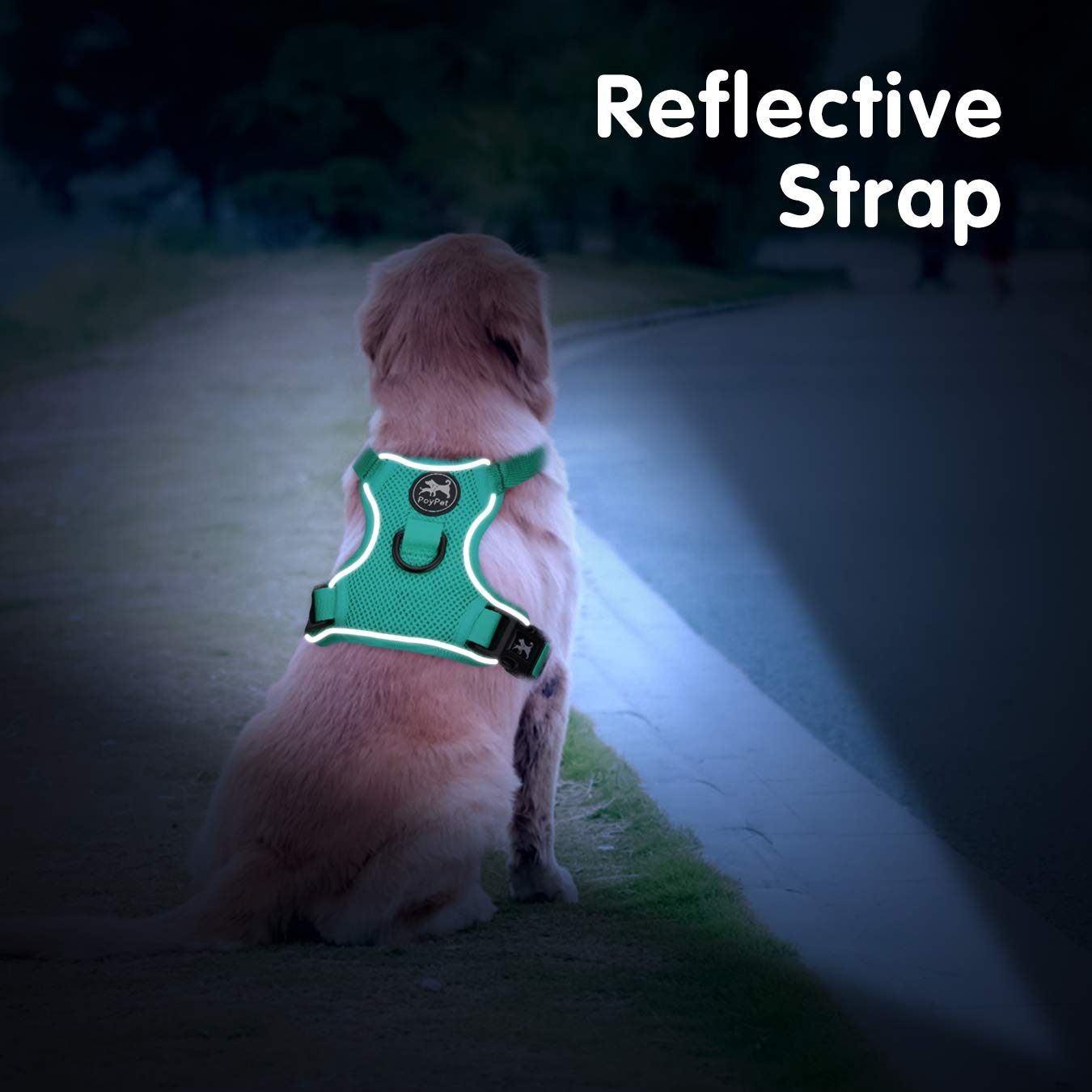 Poypet Reflective Soft Breathable Mesh Dog Harness Choke-Free Double Padded Vest With Adjustable Neck And Chest(Mint Green,Xs)