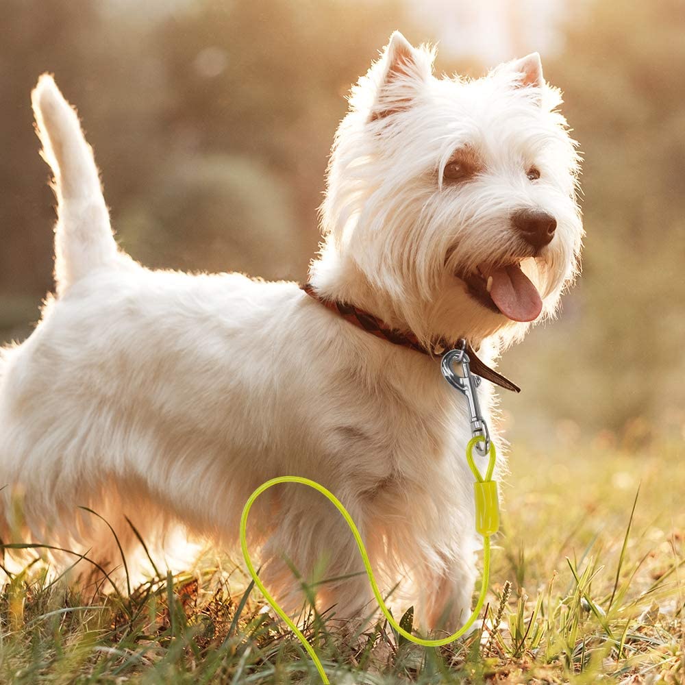 Bv Pet Tie Out Cable For Dogs Up To 90/125/ 250 Pounds, 25/30 Feet (35Lbs/ 15Ft/ Yellow)