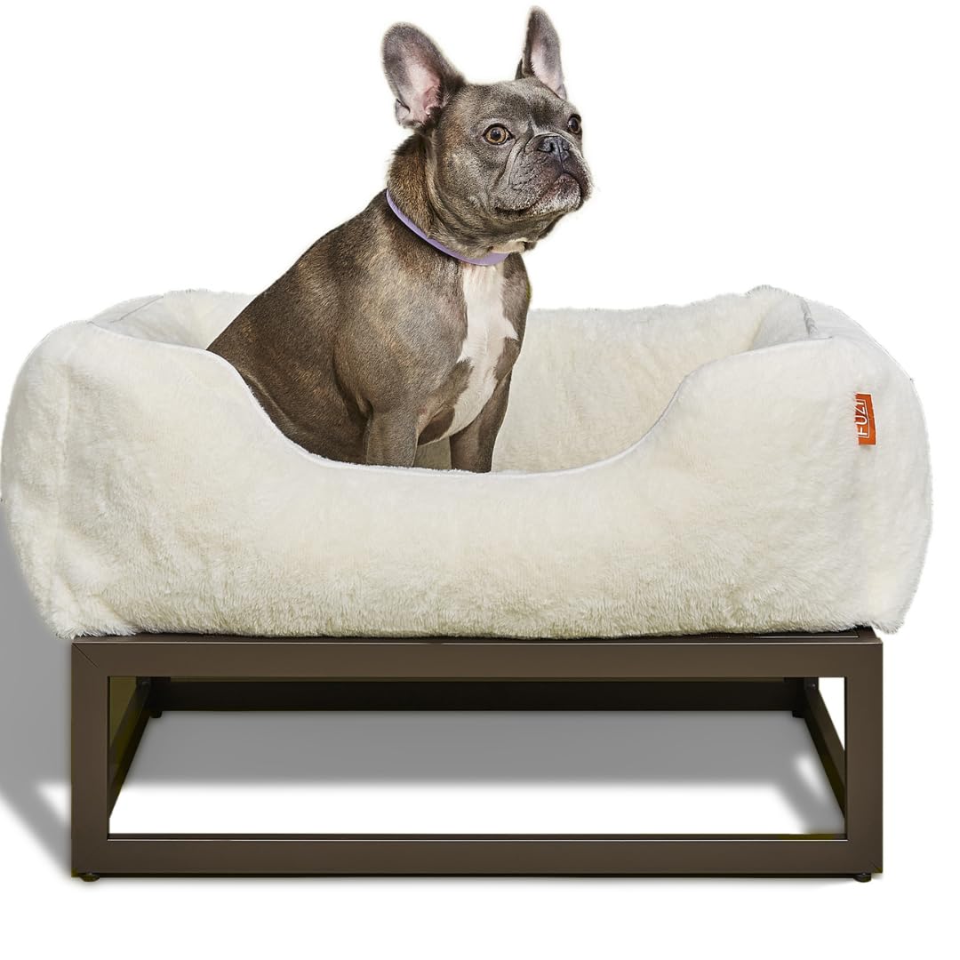 Fuzi Elevated Dog Bed Small, Luxury Raised Dog Beds, Removable And Machine Washable Bed Cover, Indoor/Outdoor Orthopedic Pet Bed