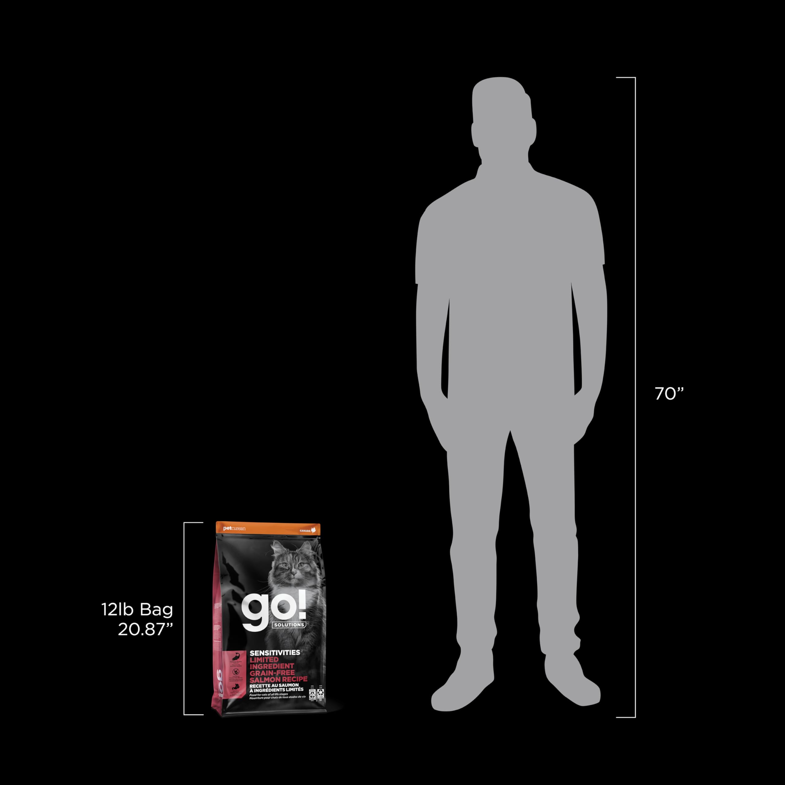 Go! Solutions Sensitivities Limited Ingredient, Grain-Free Dry Cat Food, Salmon Recipe for Sensitive Stomach, 12 lb Bag