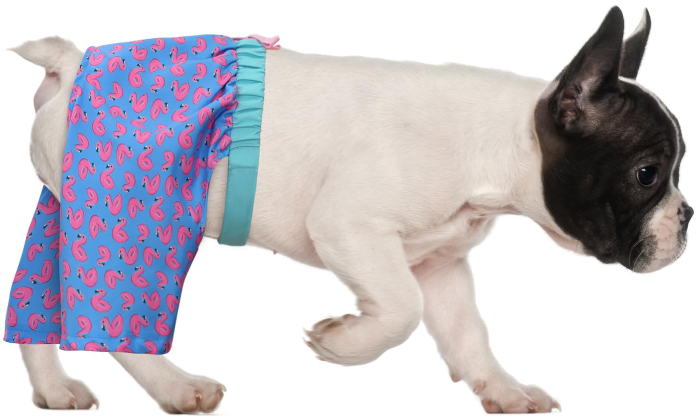 Hde Dog Swim Trunks Hawaiian Board Shorts Beach Pool Swimsuit For Xs To Xxl Dogs Flamingos - S