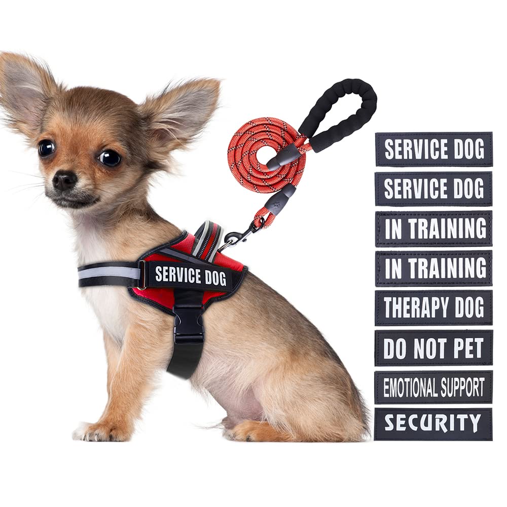 Service Dog Vest Harness And Leash Set, Animire In Training With 8 Patches, Reflective Soft Padded Handle For Small, Medium, Lar