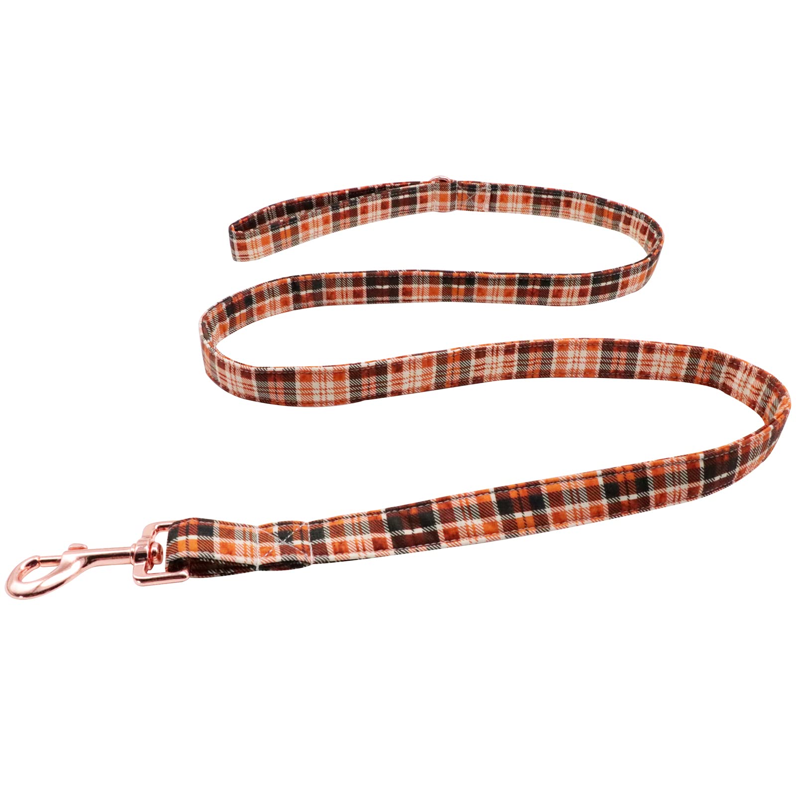 Lionet Paws Dog Leash For Small Dogs, Orange, Blue, Extra Small, 5/8In X 4Ft