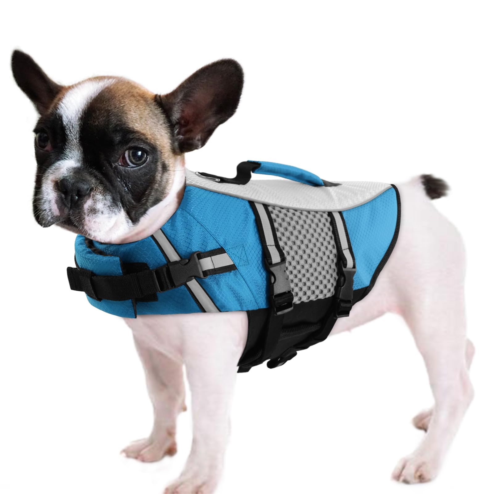 Queenmore Dog Life Jacket Vest For Swimming Boating Kayaking, Small Medium Doggie Puppy Life Preserver Lifesaver Pet Pfd Lifejac