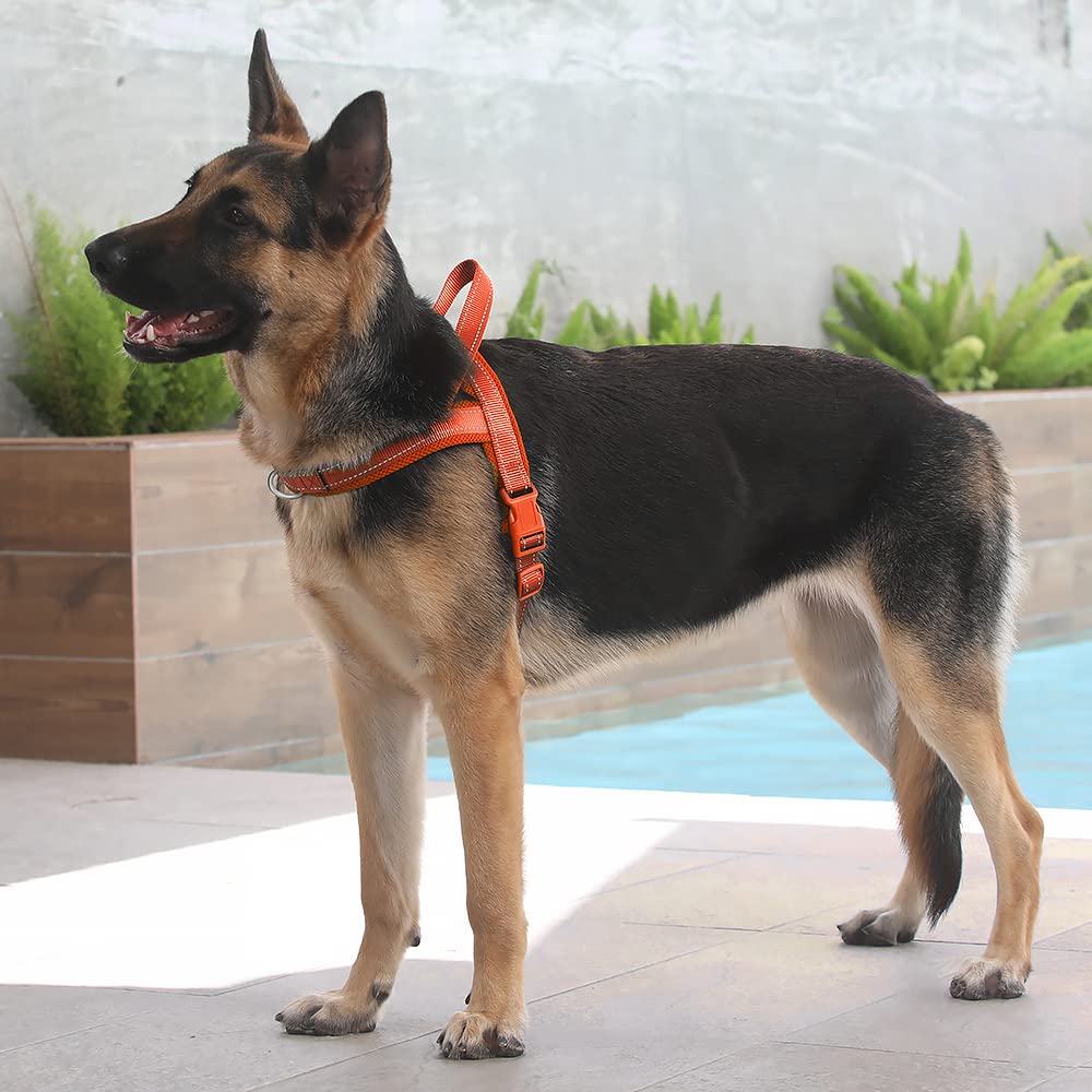 Plutus Pet No Pull Dog Harness With Breathable Mesh Padded, Adjustable Reflective Escape Proof Dog Harness, Quick Fit Dog Vest Harness For Small Medium Large Dogs(Xl, Orange)