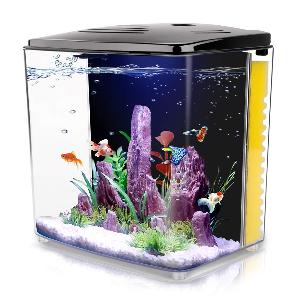 1.2Gallon Betta Aquarium Starter Kits Square Fish Tank With Led Light And Filter Pump