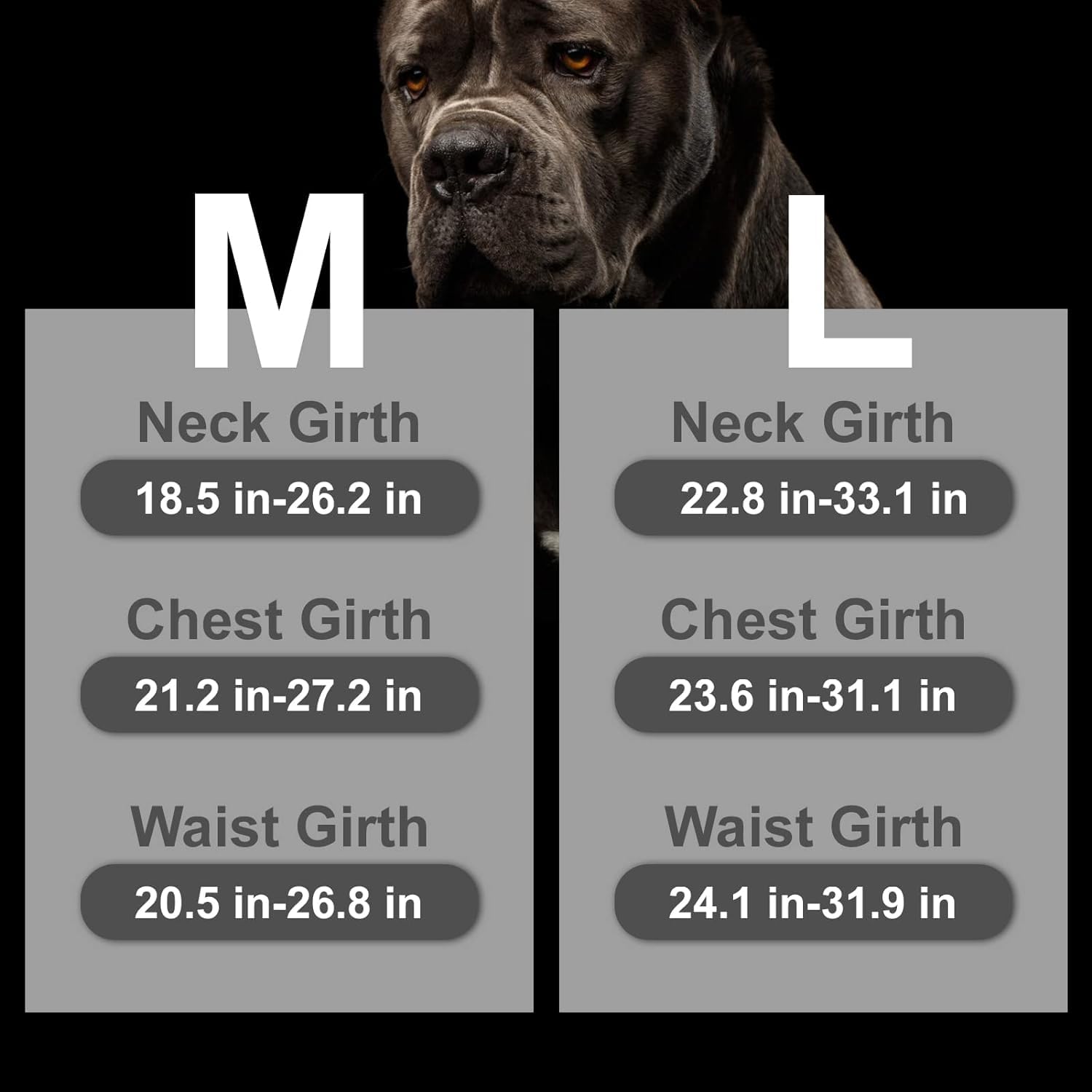 Mihachi Escape Proof Dog Harness - No Pull Reflective Dogs Harness Vest With Lift Handle, Adjustable Soft Padded No Slip Pet Har