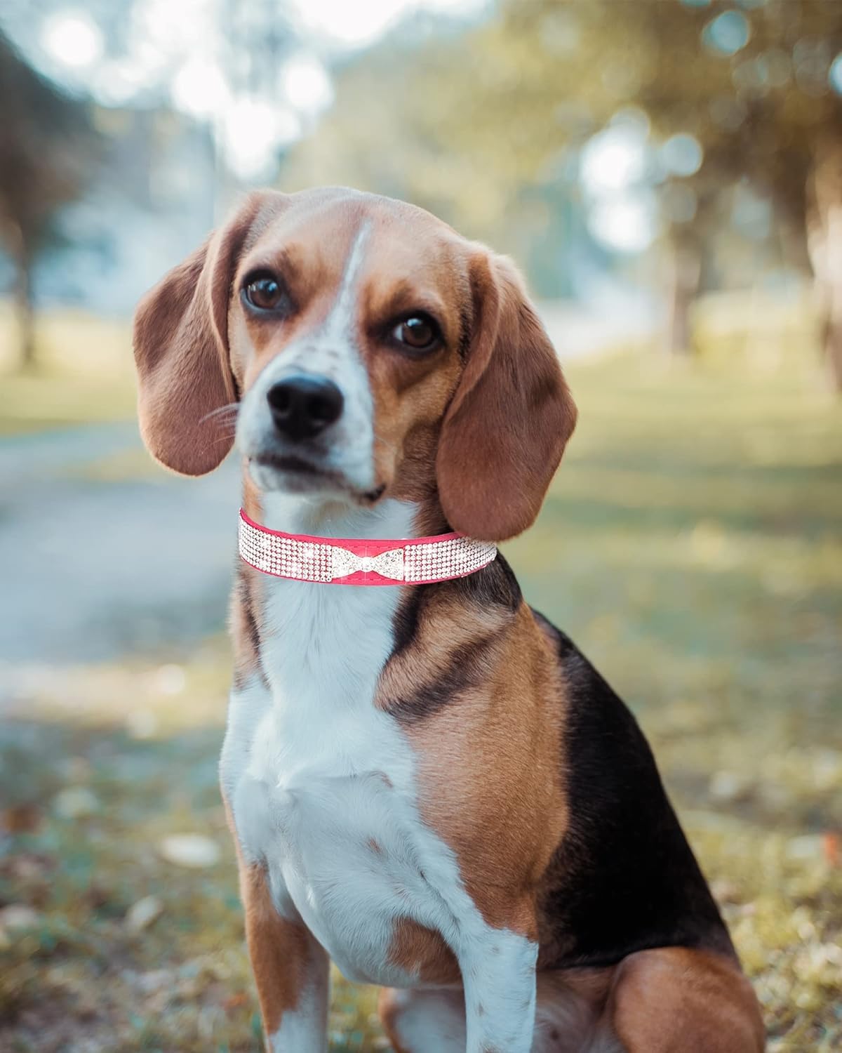 Bling Dog Collars For Small Dogs, Rhinestone Pet Collars, Pink Diamond Puppy Collar For Xxs Xs Small Medium Large Female Dogs Gi