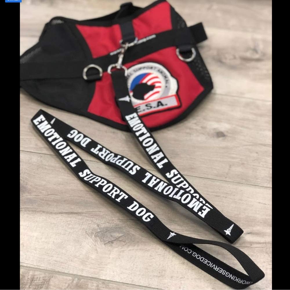 'Emotional Support Dog'' Leash - Esa Collar Tag - Five Esa Information Cards